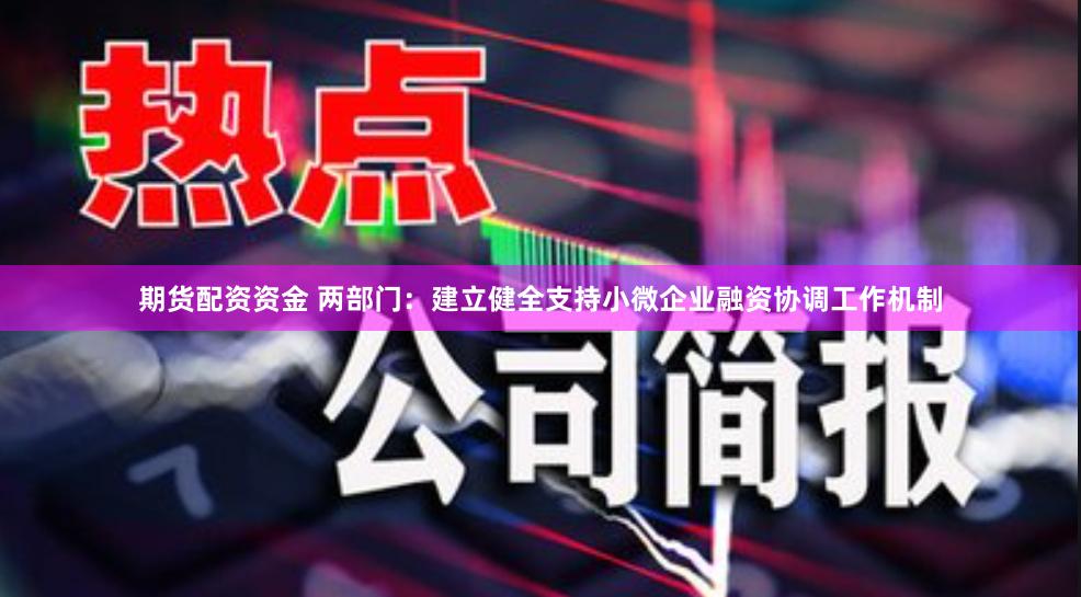 期货配资资金 两部门：建立健全支持小微企业融资协调工作机制