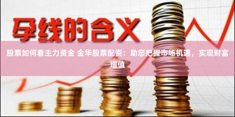 股票如何看主力资金 金华股票配资：助您把握市场机遇，实现财富增值