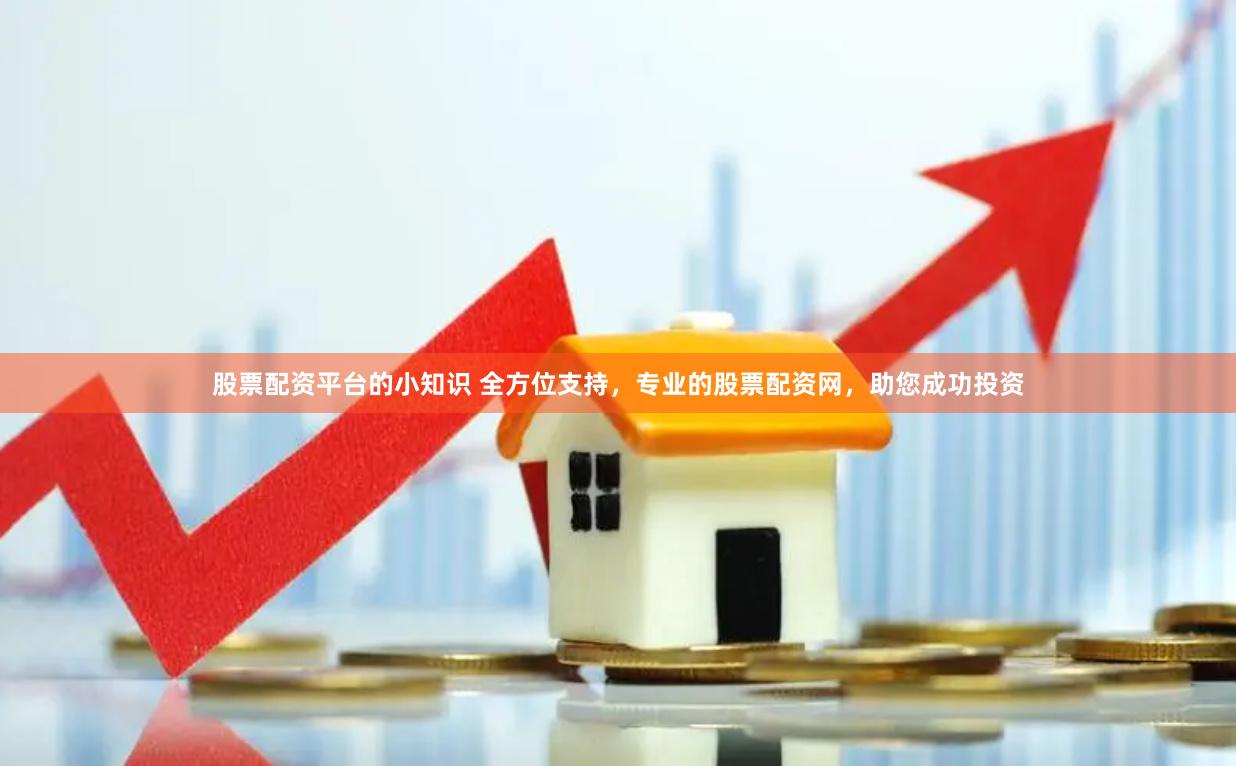 股票配资平台的小知识 全方位支持，专业的股票配资网，助您成功投资
